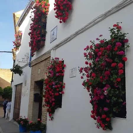Apartman El Rincon De Jesus Y Loli *
